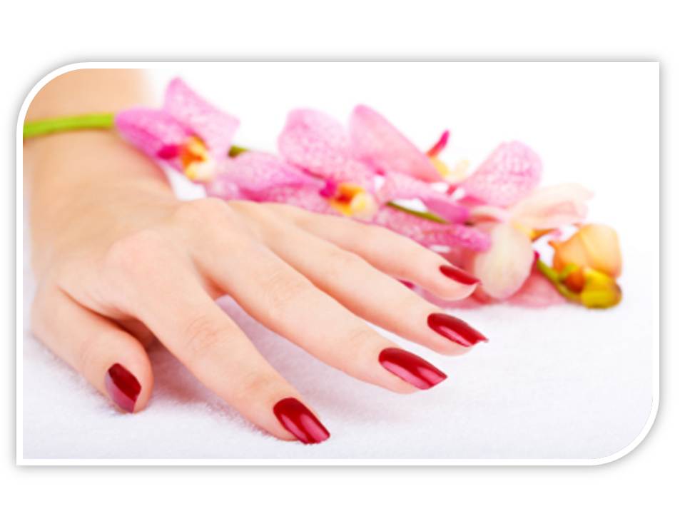 Nice Nail And Spa Services